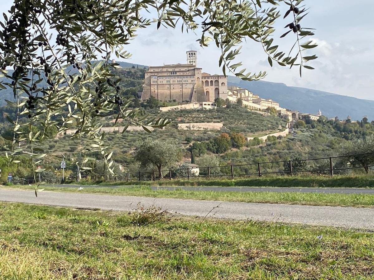 Agriturismo Il Girasole Assisi Kültér fotó