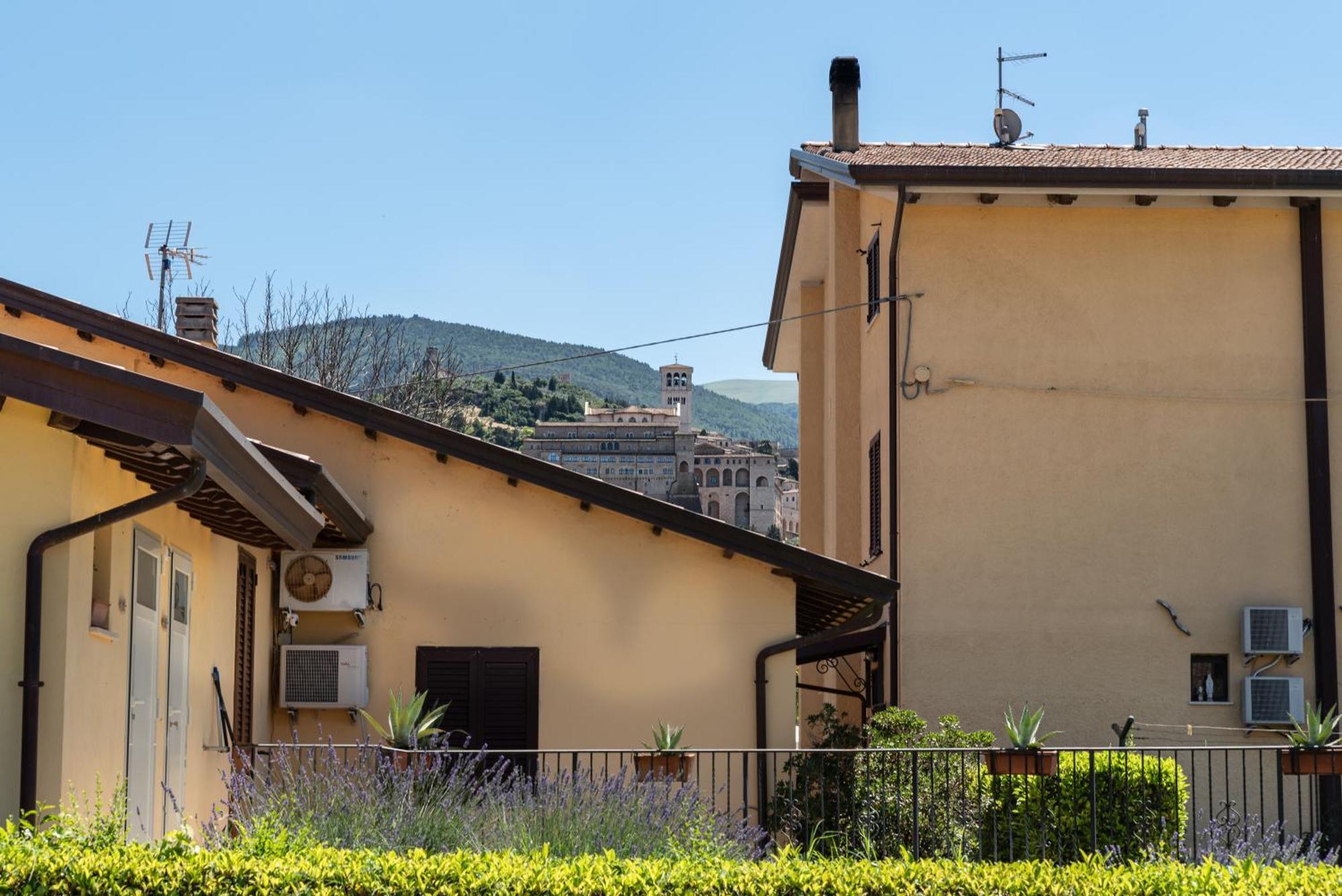 Agriturismo Il Girasole Assisi Kültér fotó