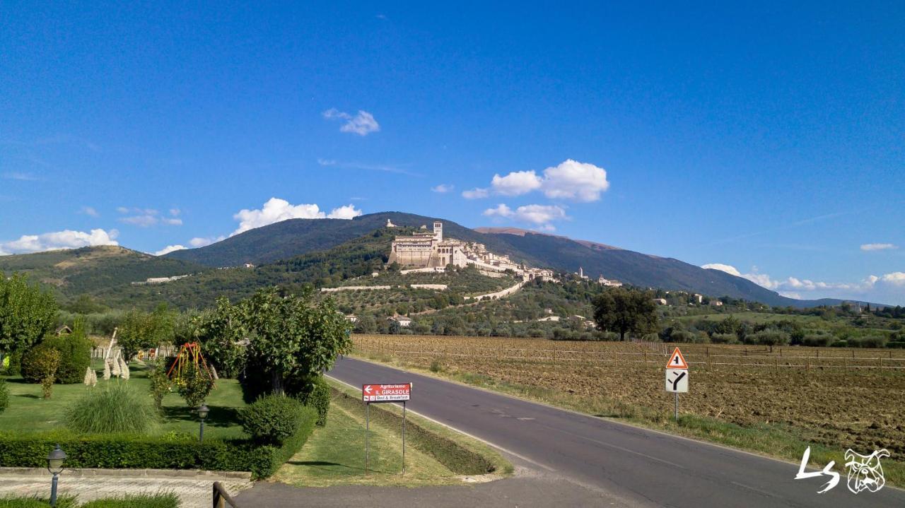 Agriturismo Il Girasole Assisi Kültér fotó
