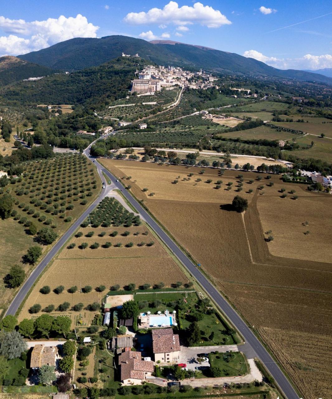 Agriturismo Il Girasole Assisi Kültér fotó