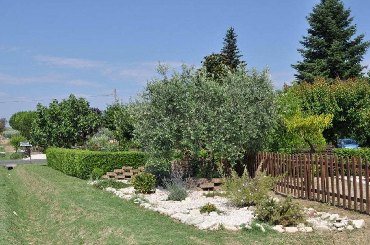 Agriturismo Il Girasole Assisi Kültér fotó